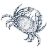 bg-element-crab