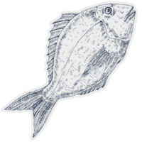 bg-element-fish