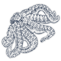 bg-element-octopus